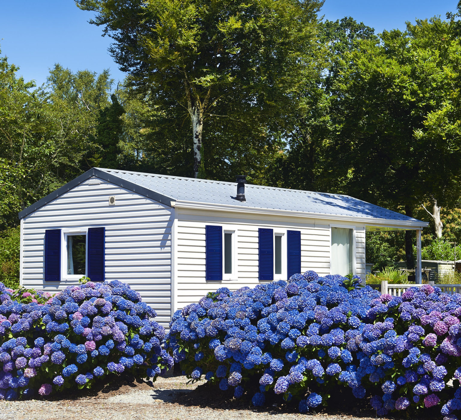 Estate Clean Out Services Toss Out Junk Removal