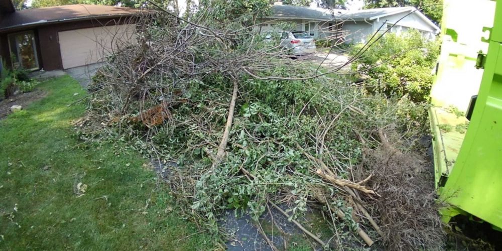 Branches and leaves being removed by Toss Out Junk removal