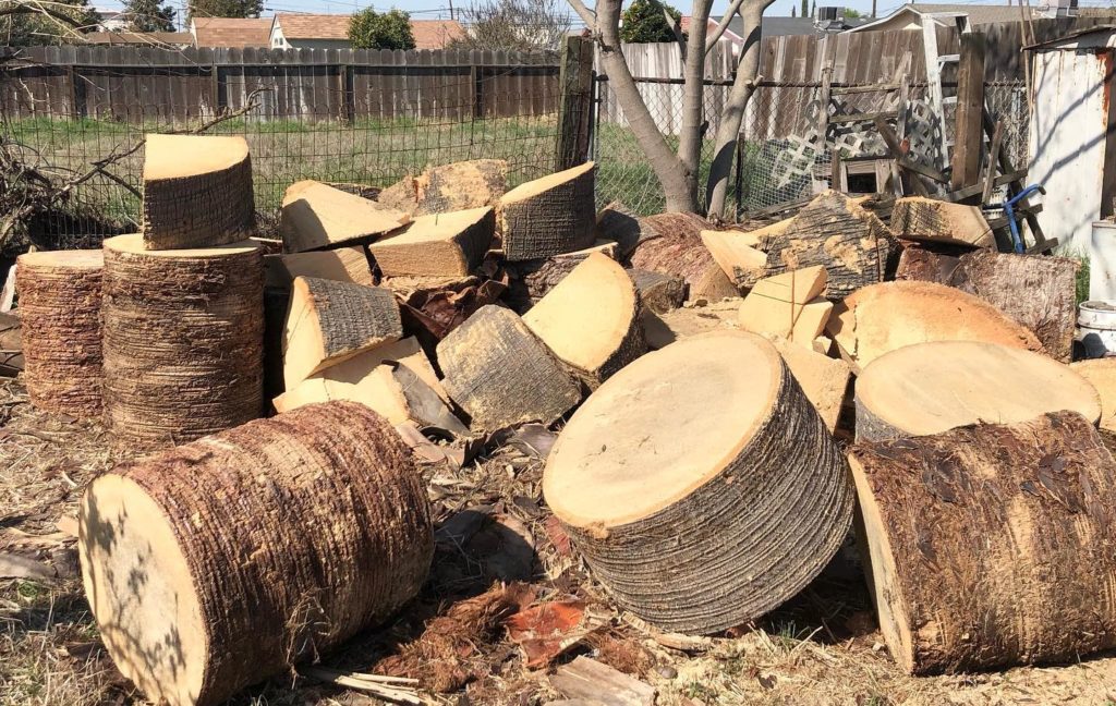 Our Junk Removal Process Toss Out Junk Removal