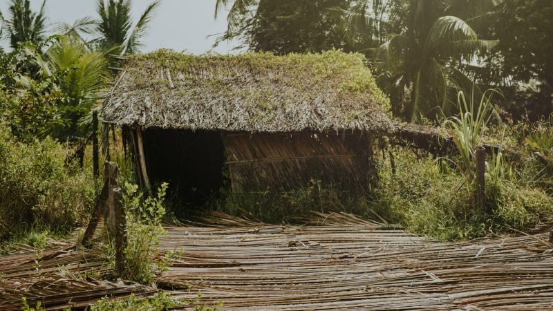 old run down shed